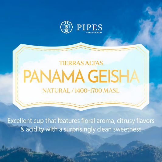 Panama Geisha -Chiriqui Tierras Altas  - Natural