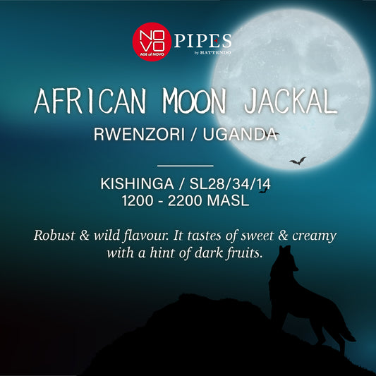 AFRICAN MOON JACKAL - Uganda Rwenzori -