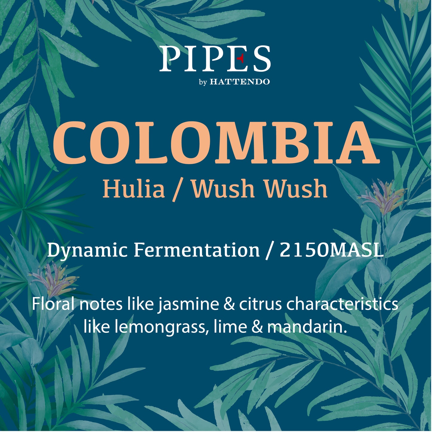 Wush Wush Colombia Hulia - Dynamic Fermentation