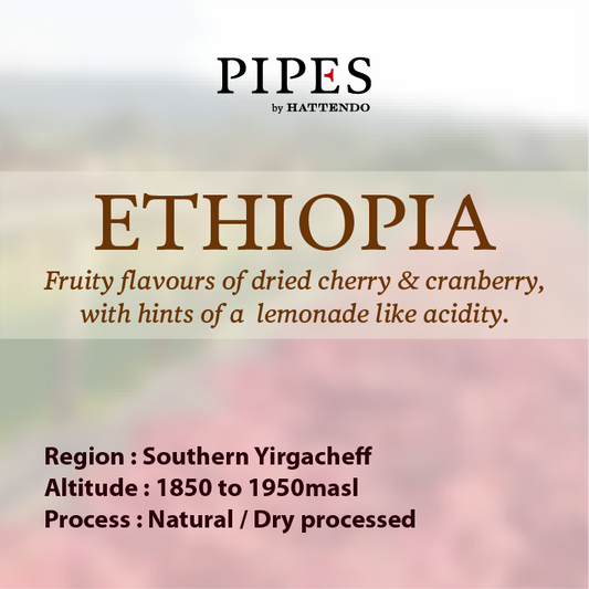 ETHIOPIA YIRGACHEFF NATURAL G1 KONGA